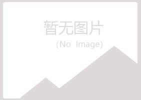 日照岚山冷梅化学有限公司